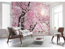 Photo murale - 400 x 260 cm - panoramique intissé - bloom