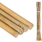 Tiges en bambou 105 cm, lot de 25, en bambou naturel,