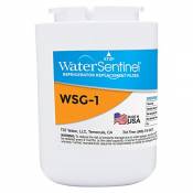 WaterSentinel WATERSENTINEL-WSG-1 MWF GE SmartWater Compatible Cartouche de filtre