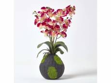 Homescapes grande orchidée artificielle rose en motte effet mousse 60 cm AP1382B