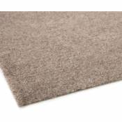 Pelouse synthétique Farbwunder Pro Beige 200 x 150