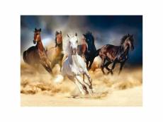 Poster thème chevaux courent - 360 x 270 cm