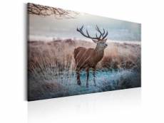 Tableau wild animal taille 90 x 60 cm PD8407-90-60