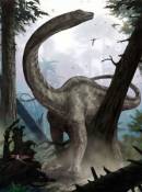 Papier Peint panoramique sur intissé Dinosaure 184