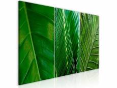 Tableau leaves (collection) taille 120 x 60 cm PD10240-120-60