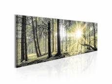 Tableau morning forest taille 120 x 40 cm PD10207-120-40