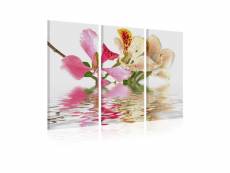 Tableau - orchid with colorful spots-90x60 A1-N1374-DK
