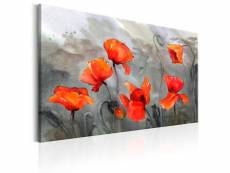 Tableau - poppies (watercolour) [30x20]