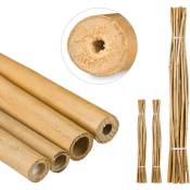 75x Tiges en bambou 150 cm, en bambou naturel, bâtons