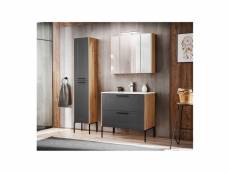 Ensemble meuble vasque + armoire miroir + grande armoire - 80 cm - duramen grey
