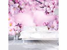 Papier peint intissé fleurs say hello to spring taille 300 x 210 cm PD13508-300-210