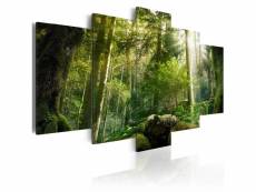 Tableau sur toile en 5 panneaux décoration murale image imprimée cadre en bois à suspendre beauté de la forêt 200x100 cm 11_0006220
