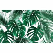 Affiche tropical feuille, 60x40cm - made in France