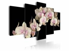Tableau fleurs orchidée sur fond contrasté taille