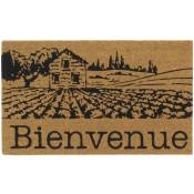 Aubry Gaspard - Paillasson coco intérieur extérieur 75 x 45 cm Village de Provence bienvenue