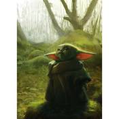 Poster xxl Mandalorian Bébé Yoda Grogu- acrylique - 200 cm - 280 cm