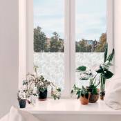 Transform - Adhésif décoratif pour vitre Volutes opaque 200 x 67,5cm Blanc - Blanc