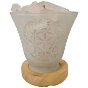 Zen Et Ethnique - Lampe Cristal de Roche 12 cm - Fleur