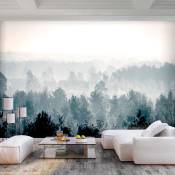 Papier peint panoramique paysages winter forest 200x140 cm