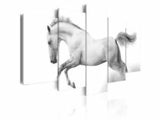Paris prix - tableau imprimé "cheval passion & liberté" 50 x 100 cm