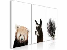 Tableau friendly animals collection taille 120 x 60