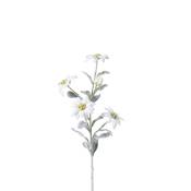 Tige d'edelweiss artificielle blanche H45