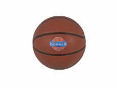 Ballon de basket bumber brun orangé ø24,5 avec embout de pompe et filet de transport
