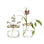 Villa Collection - Ensemble Vase verre LIVING - Or
