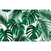 Hxadeco - Affiche tropical feuille, 60x40cm - made