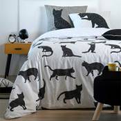 Le Monde Des Animaux - Parure de lit chats noirs 220 x 240 cm