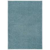 Le Poisson Qui Jardine - Tapis Salon Poils Courts. Bleu. 160 x 230. Design, Chaud & Confortable - Bleu