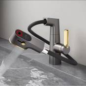 Mitigeur de salle de bain Robinet de salle de bain avec pulvérisateur extractible, affichage numérique de la température Rotation à 360 degrés