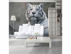 Papier peint tigre du bengale au zoo l 300 x h 231 cm A1-XXLFTNT1023
