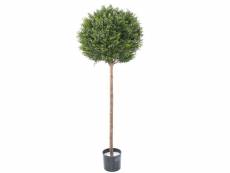 Plante artificielle haute gamme spécial extérieur / buis artificiel coloris vert - dim : 140 x 55 x 55 cm