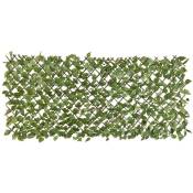Treillis de jardin avec feuilles vertes de laurier