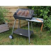 Barbecue à charbon avec grille foyère verticale - Acier - 99 x 58.5 x 96.5 cm
