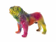 Bulldog usa rainbow m - amadeus