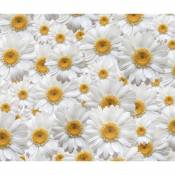 Flowers, Marguerite rideau imprimés Zoom sur de très grandes fleurs blanches et jaunes 180x160 cm, 2 parts - Multicolor