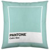 Housse de coussin Calm Sea Pantone 63836298 50 x 50