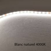 Leclubled - Ruban led Blanc 60 LED/m 4,8W/m IP20 5m - Blanc Naturel 4000K