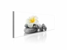 Tableau - white lotus-120x40 A1-N6570
