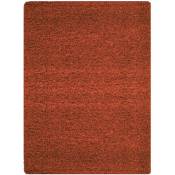 Tapis Shaggy Uni Poils Longs Tapis Salon Chambre Couloir (Terracotta - 140x200cm)