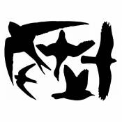 Esschert Design - 5 silhouettes d'oiseaux autocollantes