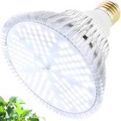Kcvv - Lampe de Croissance 50W 150 LEDs Blanc Spectre
