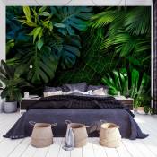 Papier peint panoramique jungle sombre 300x210 cm