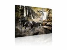 Paris prix - tableau imprimé "cheval noir & cascade rocheuse" 80 x 120 cm