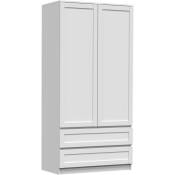 PERRY - Armoire 2 portes 2 tiroirs - Style classique