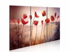 Tableau - bright red poppies [90x60]