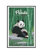 Affiche Animaux - Le Panda géant 40 x 60 cm