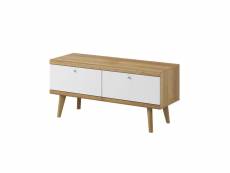 Ava - meuble tv - bois et blanc - 107 cm - style scandinave - bestmobilier - bois et blanc